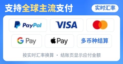 支持PayPal、Visa、Mastercard、Google Pay、Apple Pay等全球主流支付,实时汇率